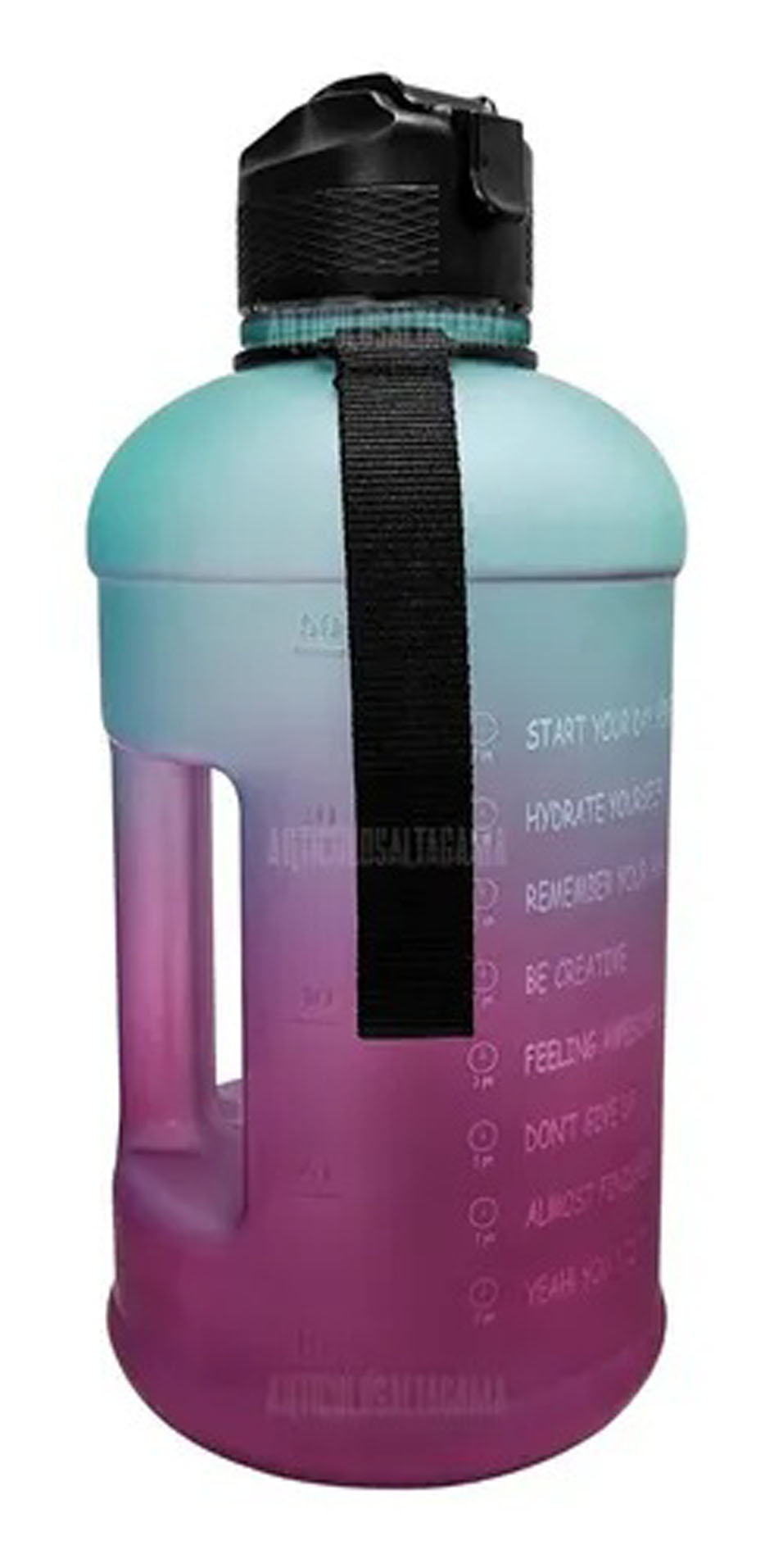 Botella Termo Botilito De Agua Motivacio