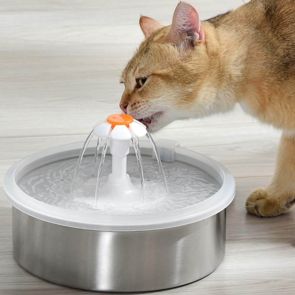 Fuente De Agua Automática Para Gato Y P