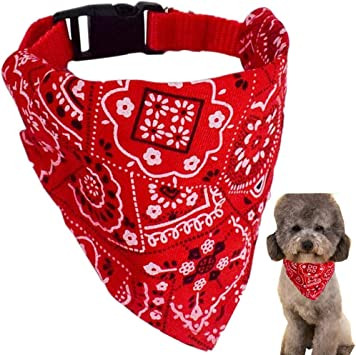 pañoleta bandana graduable perro - Imagen 5