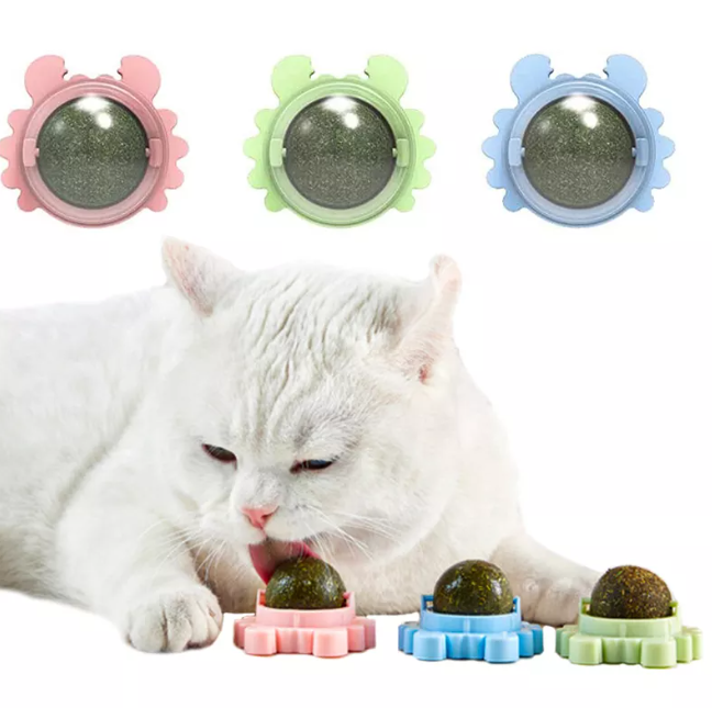 Juguete gato Catnip Hierba Natural