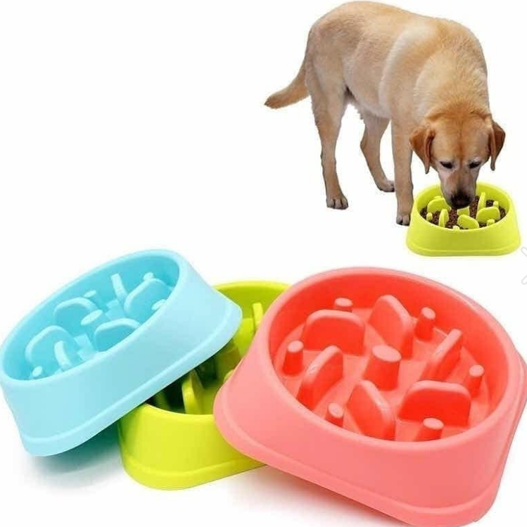 Comedero Antirreflujo Mascotas