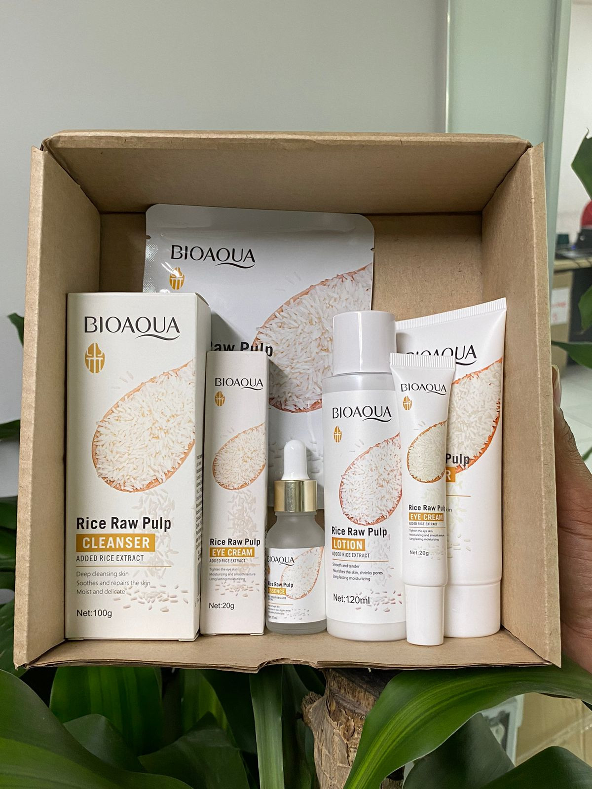 COMBO DE ARROZ X5 CON LOCIÓN