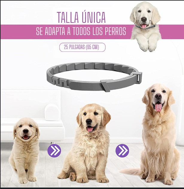 COLLAR ANTIPULGAS PARA MASCOTAS