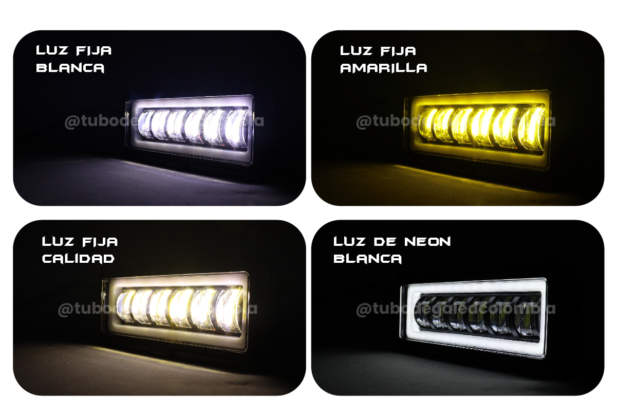 EXPLORADORA DE LUPA LINEAL W/Y POR PAR