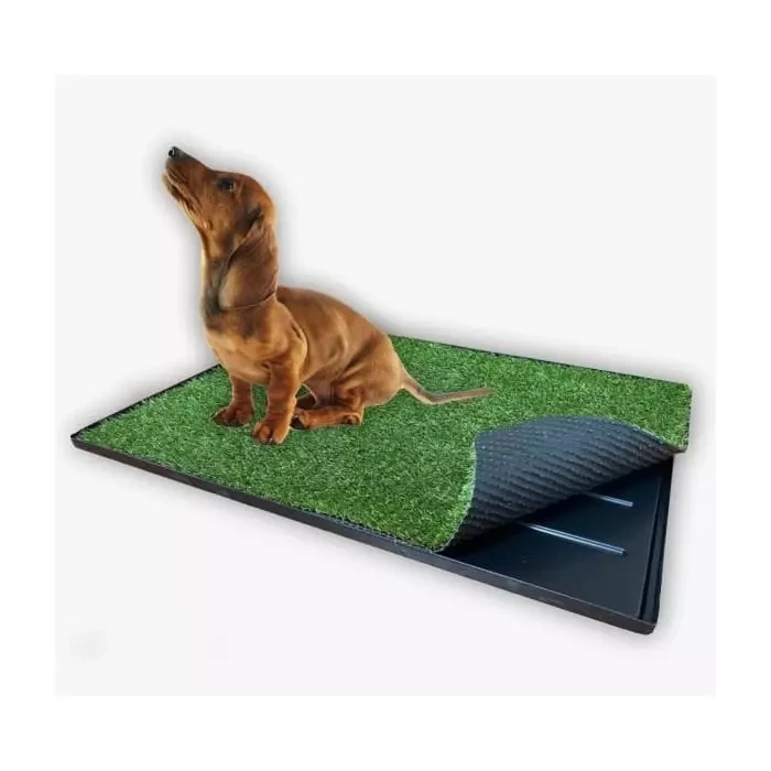 Tapete Entrenador Para Perros