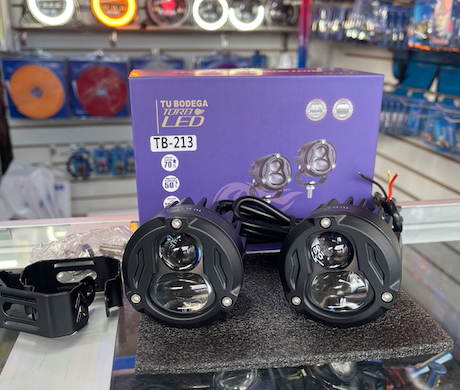 Par exploradoras bicolor (tb213)