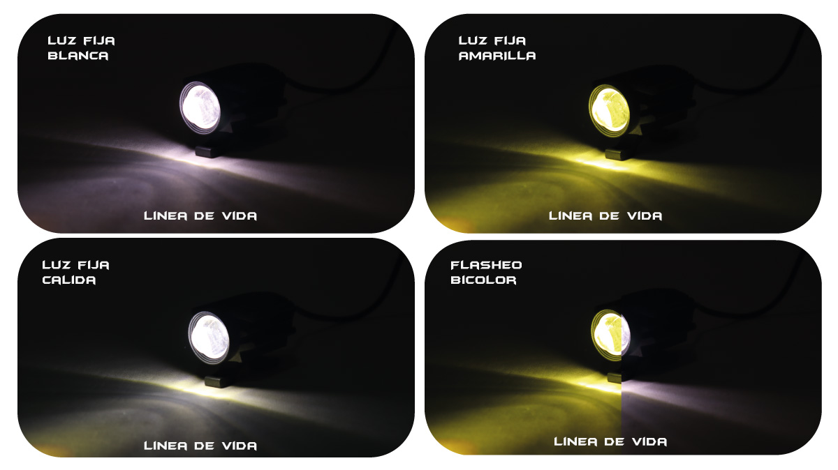 TB-071 EXPLORADORA W/Y PAR - Imagen 4