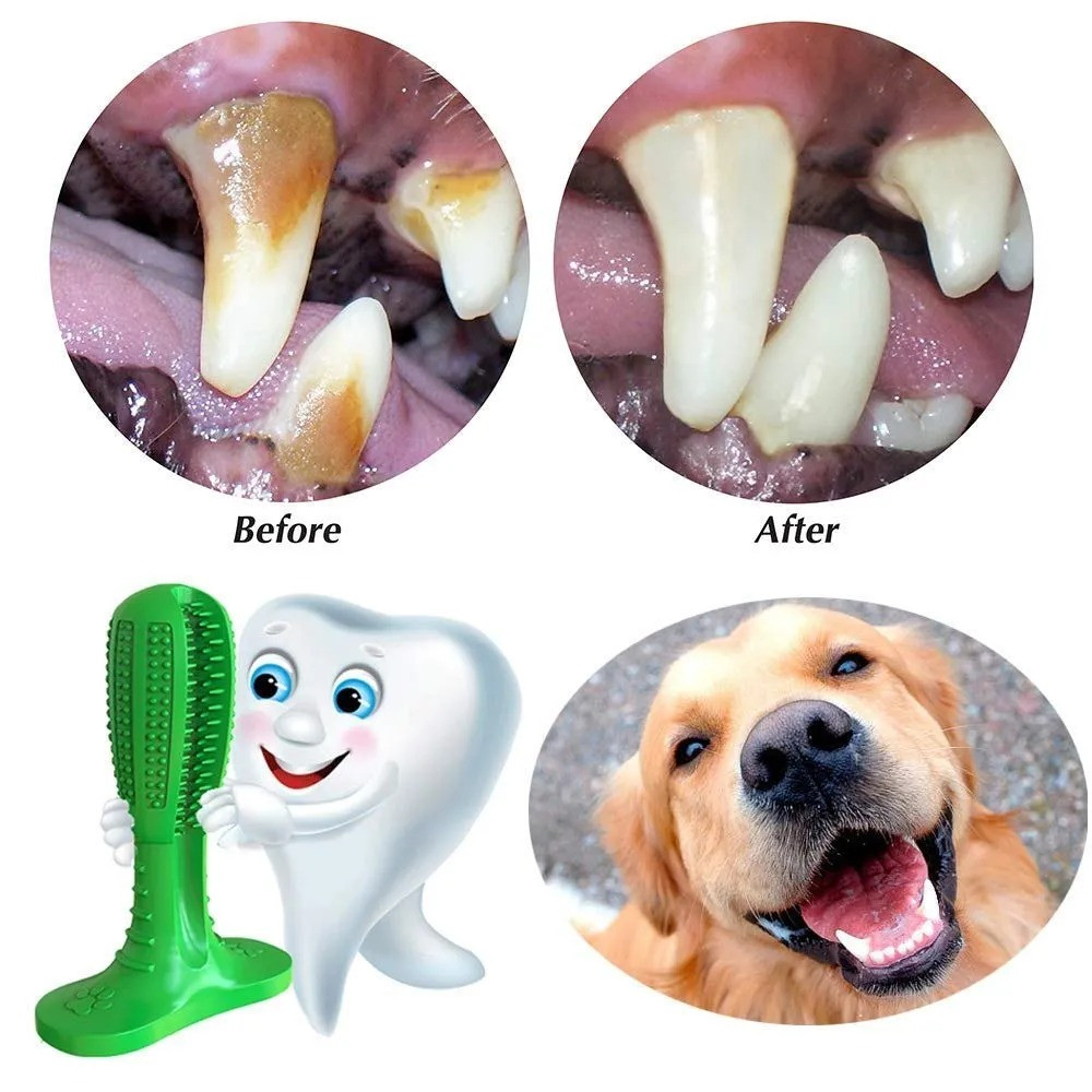 Pet Toothbrush Juguete Perro Para Morder