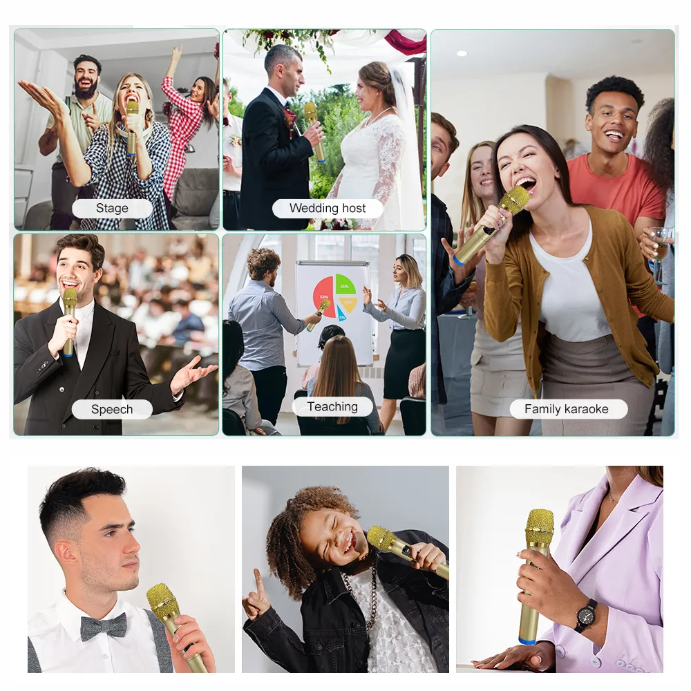 Micrófono Inalámbrico Profesional Wg100