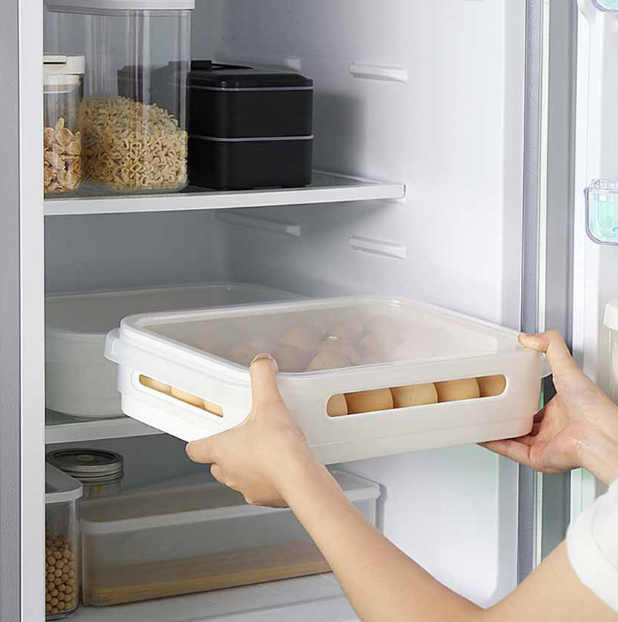 Organizador De Huevos X24und