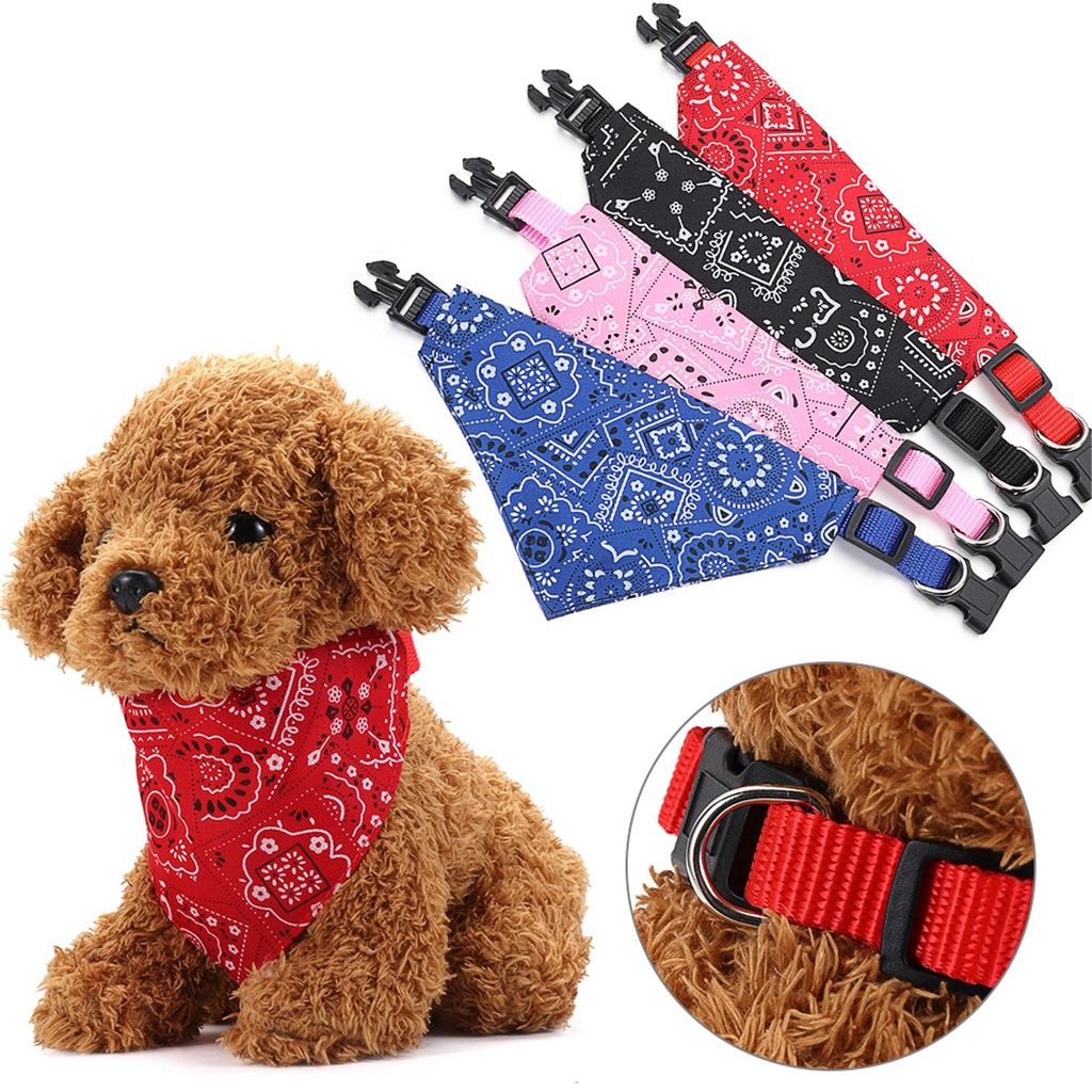 3 collares bandana graduable mascotas