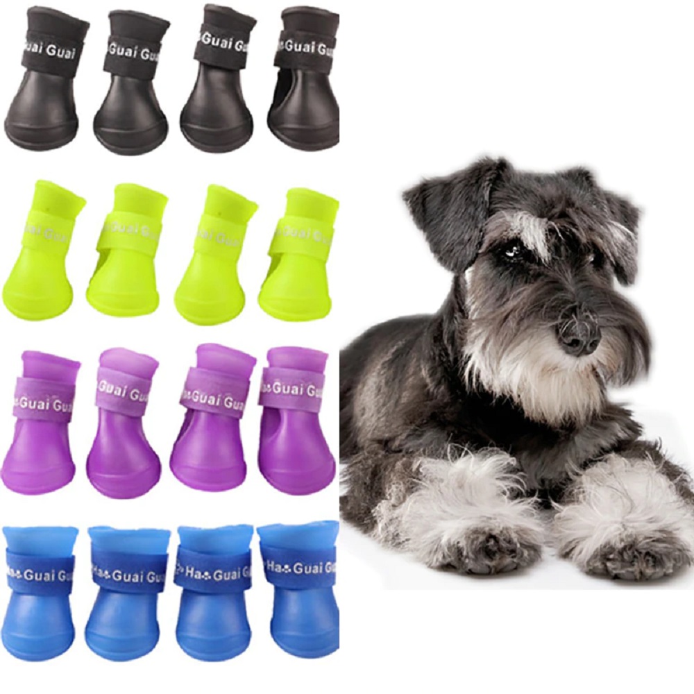 zapatos para perro  talla s
