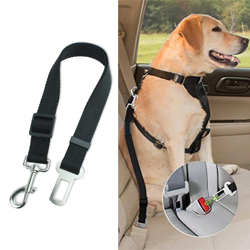 cinturon de seguridad para auto perro