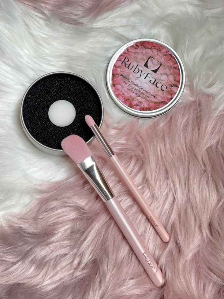 LIMPIA BROCHAS EN SECO