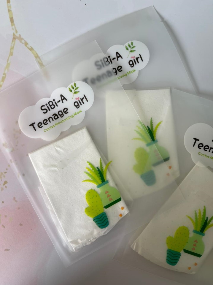 MASCARILLA VELO  DE ALOE VERA Y CACTUS