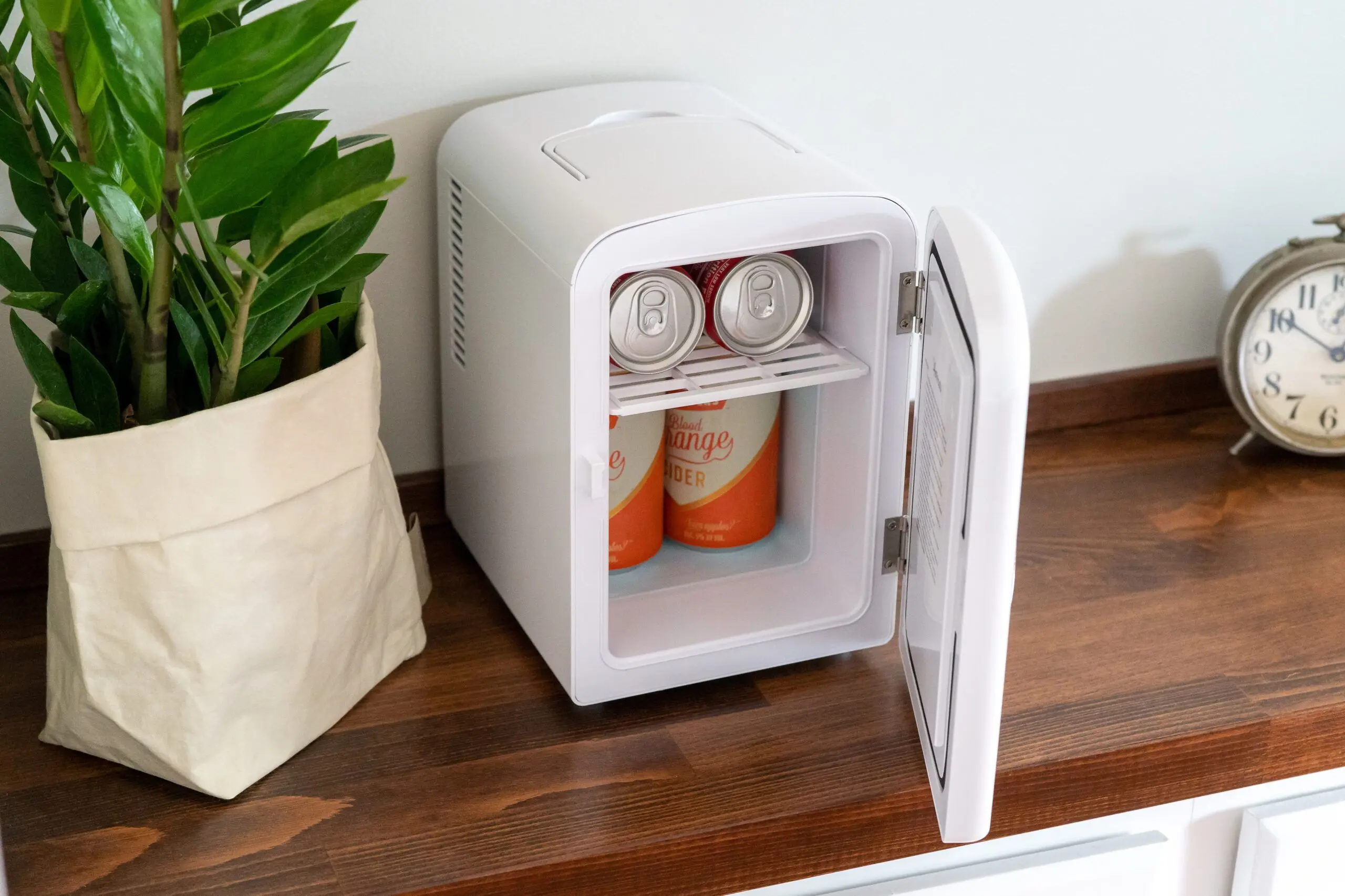 Mini Refrigerador Termoeléctrico Para C
