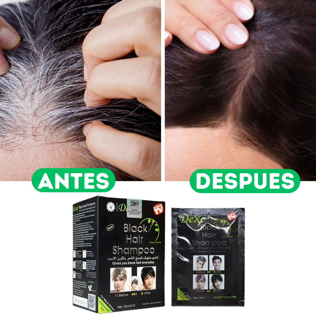 SHAMPOO CUBRE CANAS NEGRO CAJA X 10 UND
