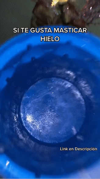 Hielera siliconada molde hielo FK23D-101