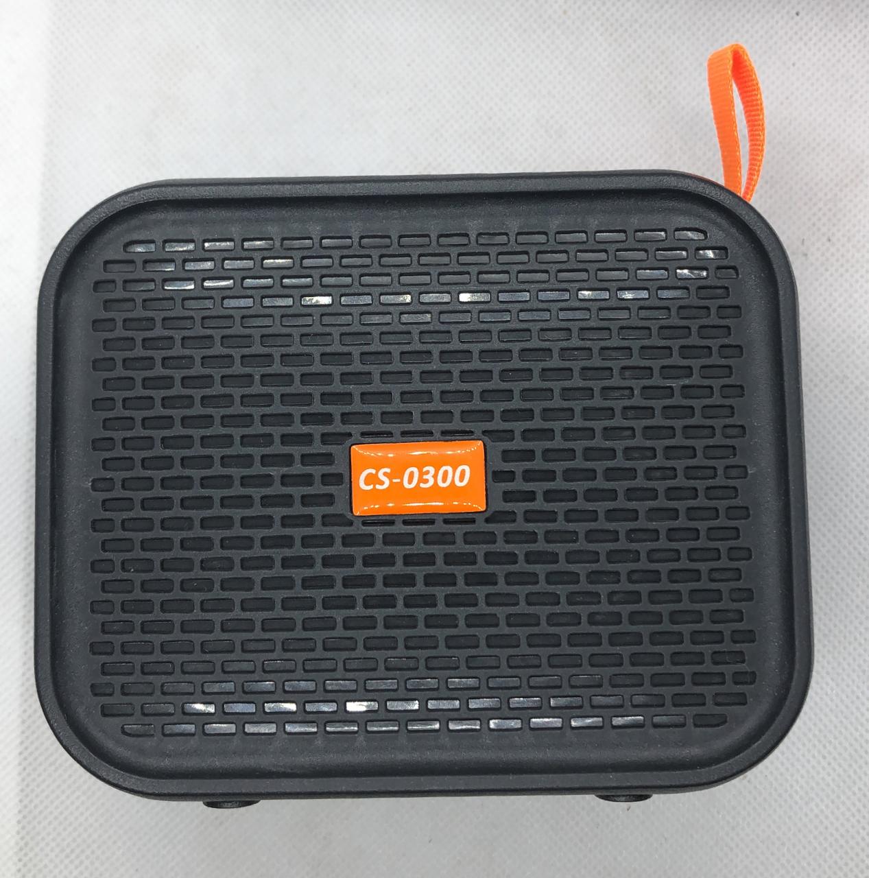 PARLANTE 3 PULGADAS PANTALLA RGB CS-0300