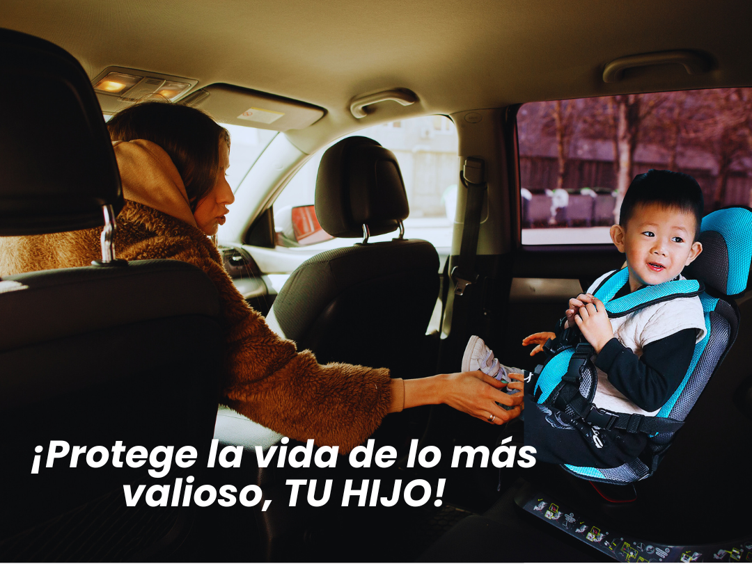 SILLA DE SEGURIDAD PORTABLE - Imagen 5