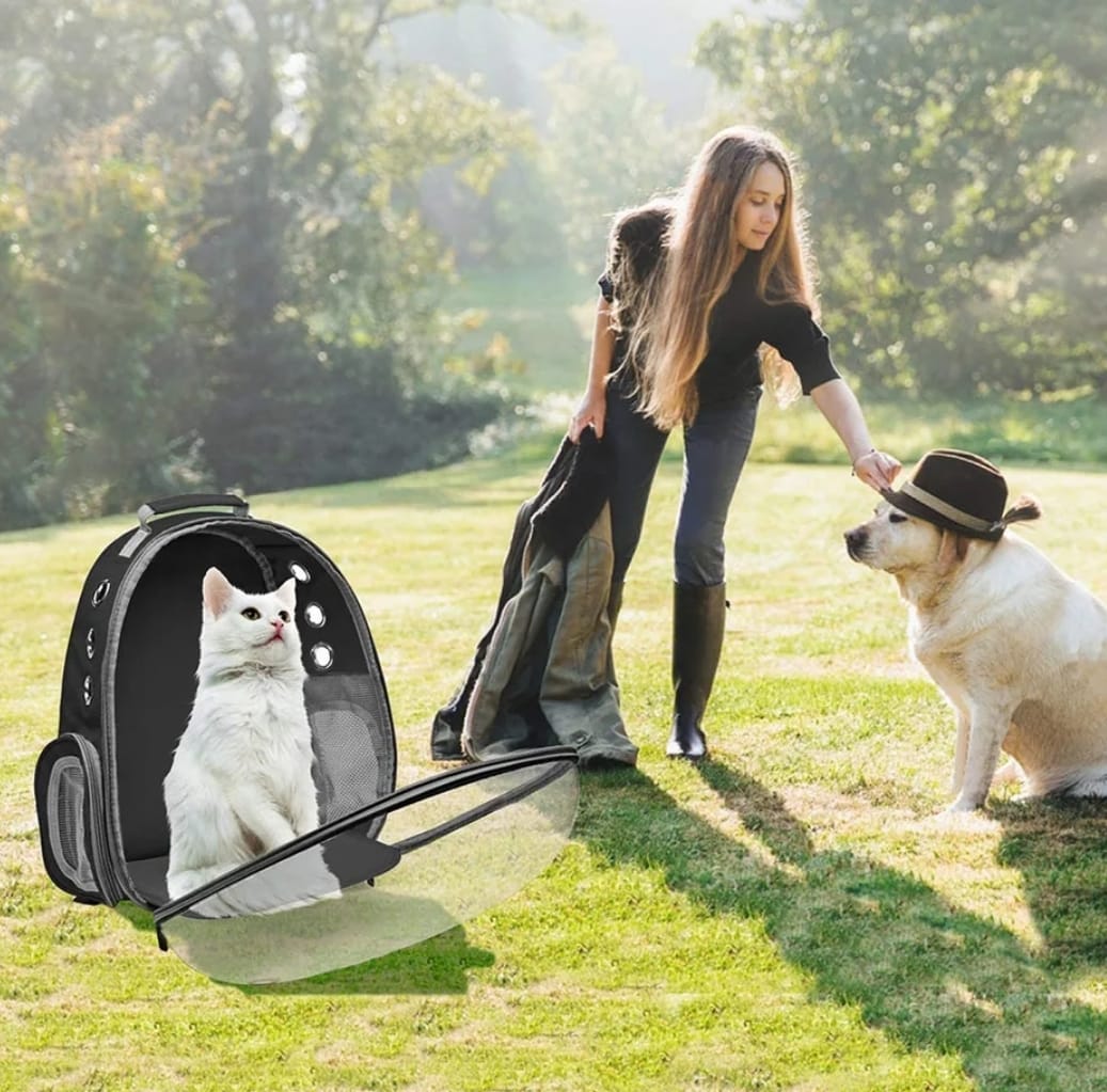 Morral Astro Maleta Para Mascotas