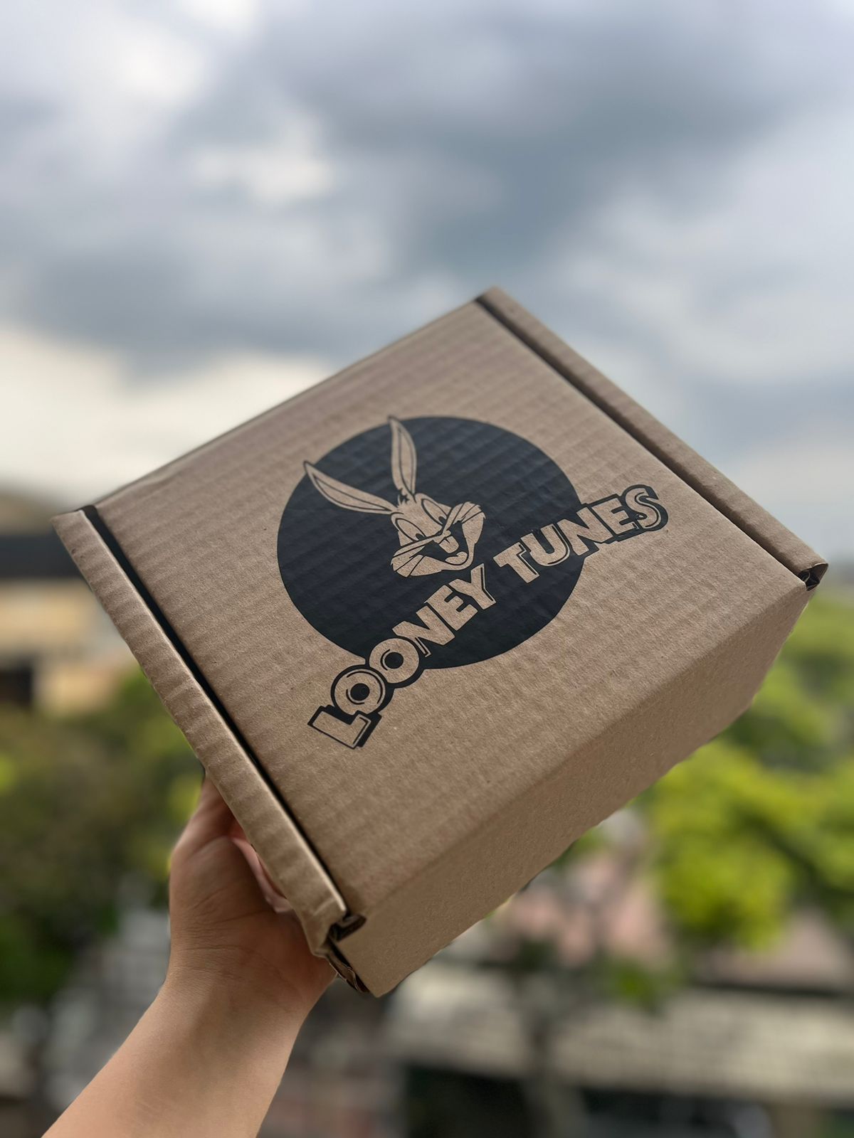 Caja Looney Tunes