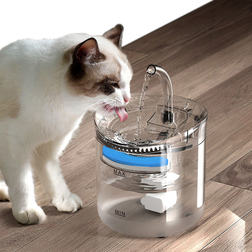 Fuente de agua para gatos
