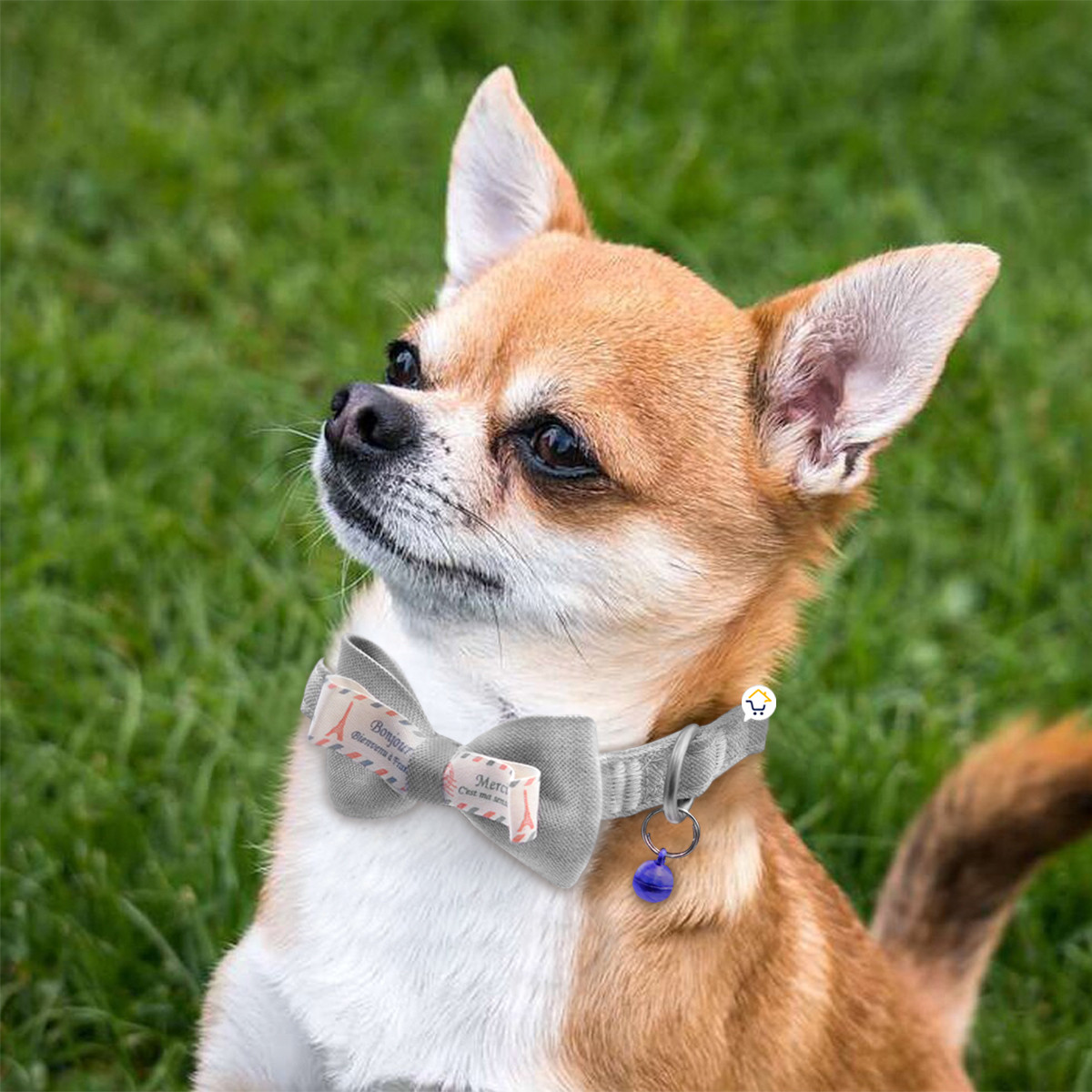 Collar Corbatín Con Cascabel MAS44 - Imagen 3