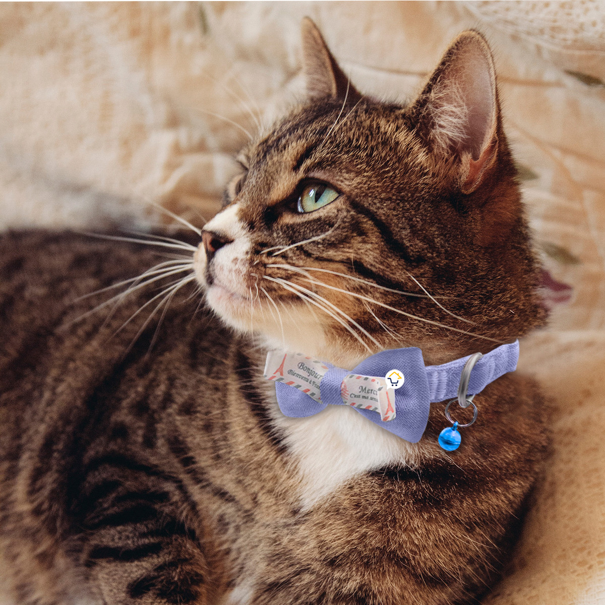 Collar Corbatín Con Cascabel MAS44 - Imagen 4