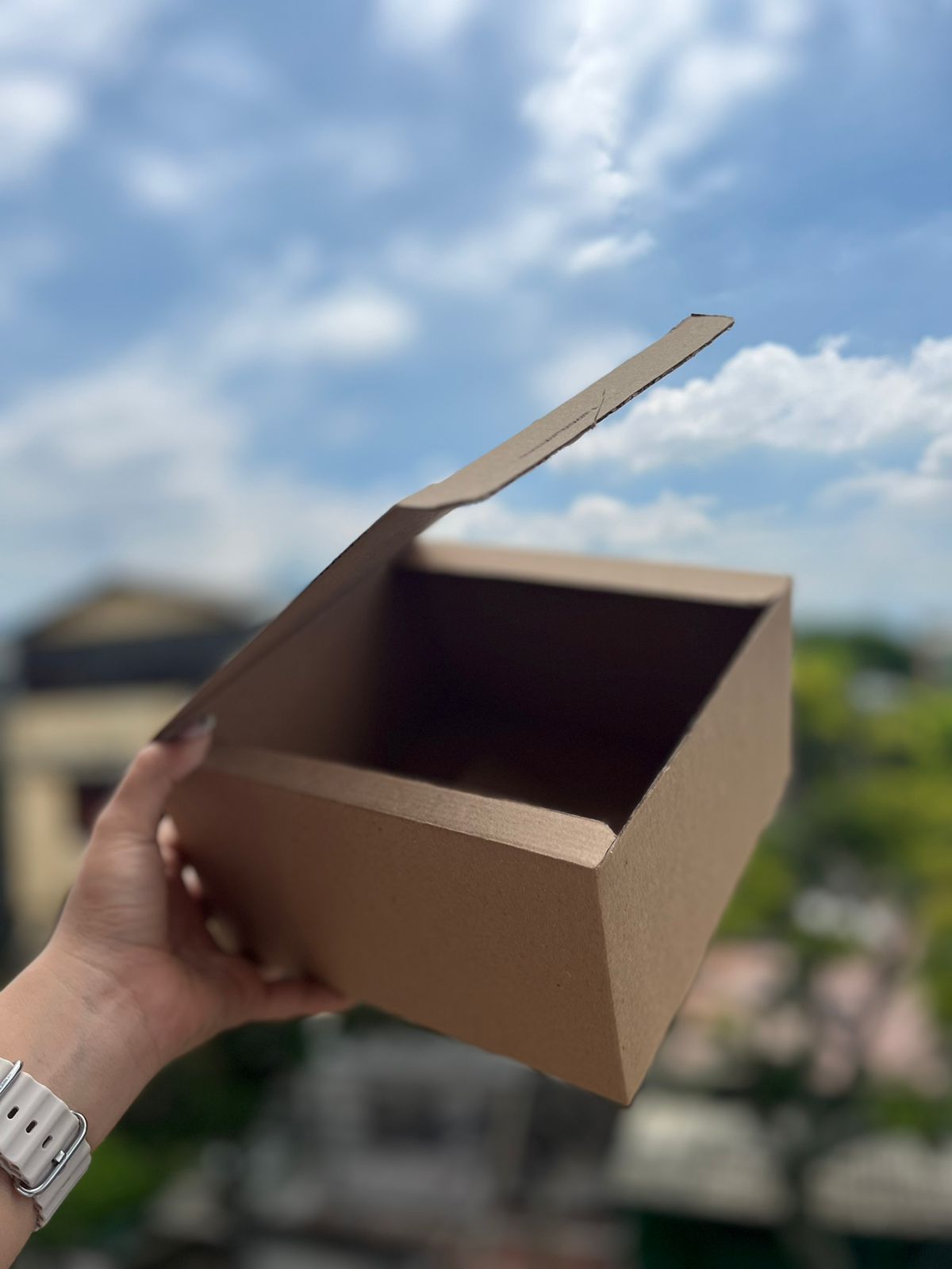 Caja para 1 a 2 unidades