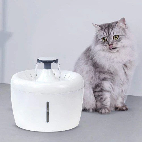 Fuente de agua Para Mascotas