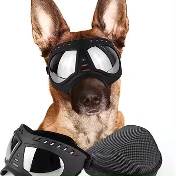 Gafa mascota + estuche