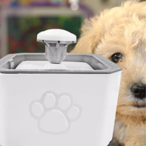 Fuente de agua para mascotas