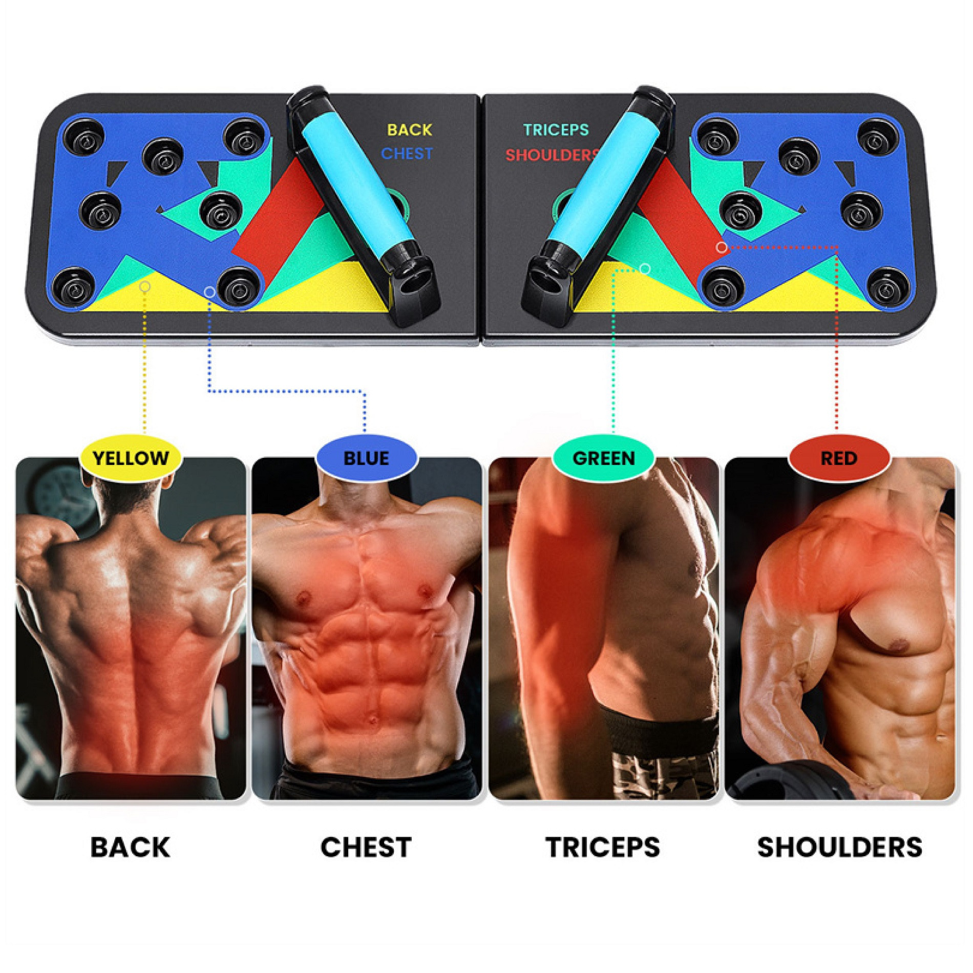 Tabla Push Up Para Flexiones Lagartijas - Imagen 2