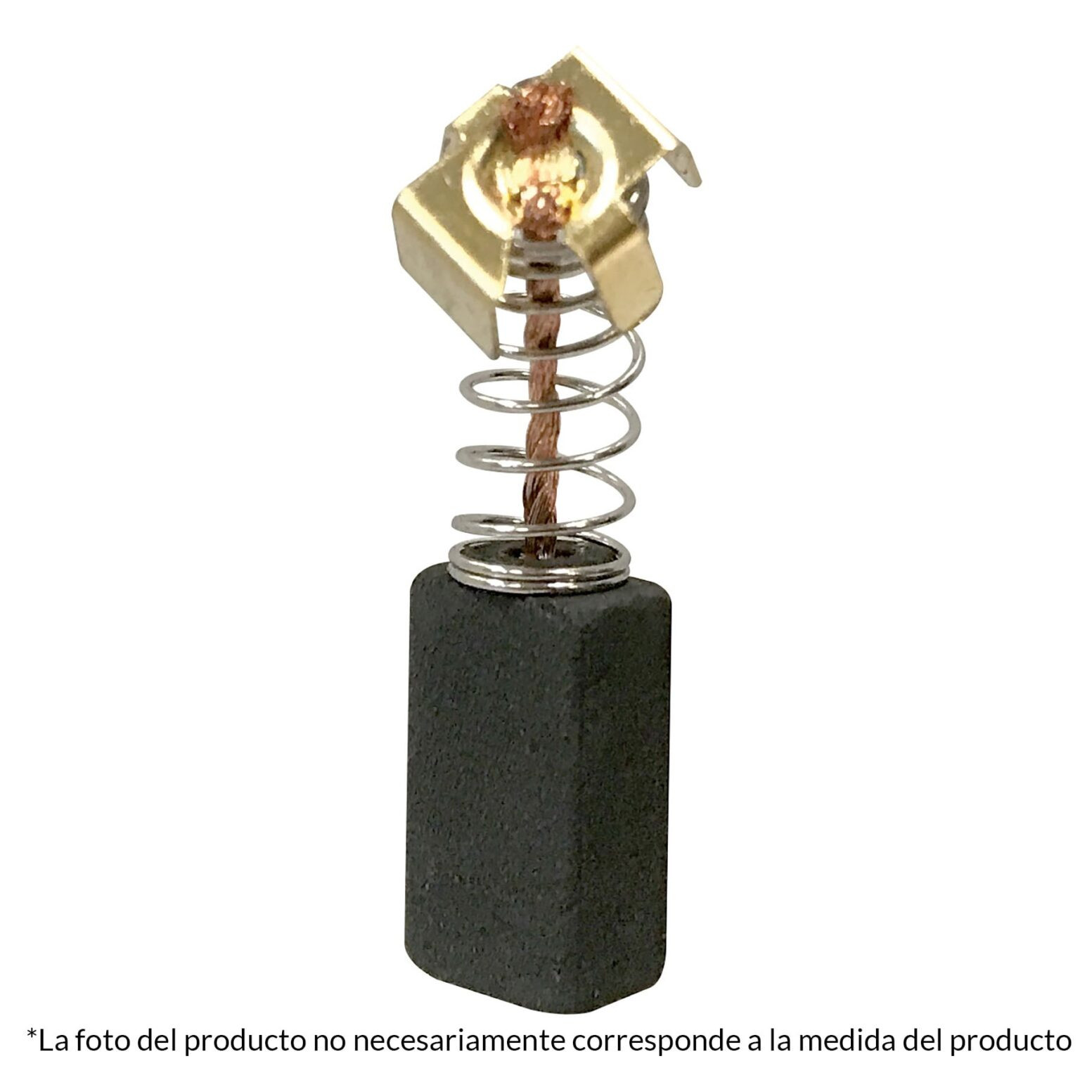 2 Carbones Taladro percutor Rplus-6Nx