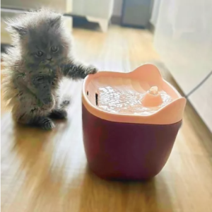 FUENTE DE AGUA PARA GATO