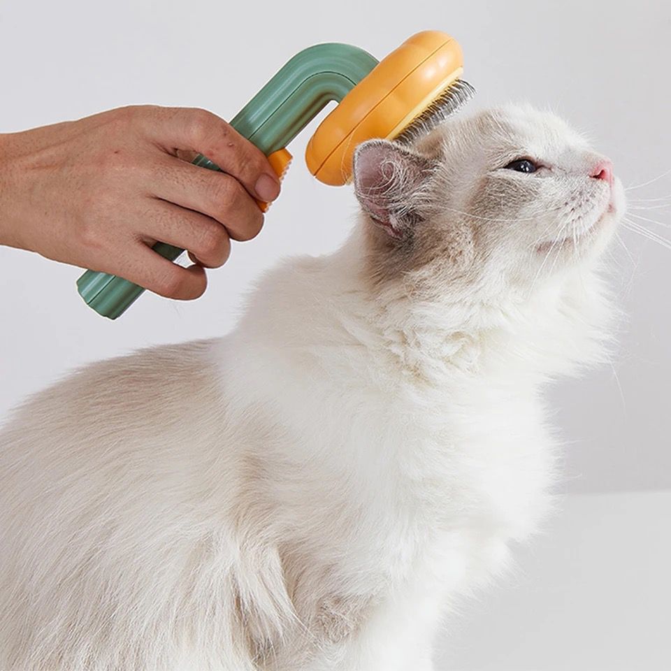 Cepillo para mascota