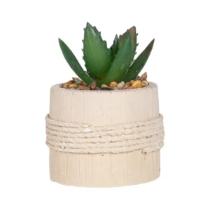 Suculenta en Base FREE HOME Beige