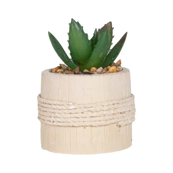 Suculenta en Base FREE HOME Beige