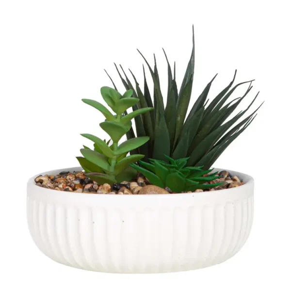 Suculenta Variada en Maceta FREE HOME Blanca