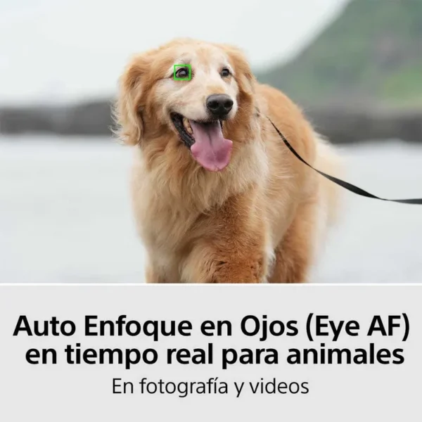 Cámara Fotográfica SONY Híbrida Full-Frame 7M4K - Imagen 7