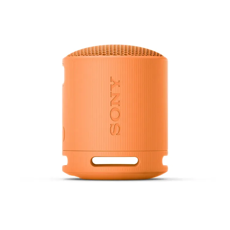Parlante SONY SRS-XB100 Naranja