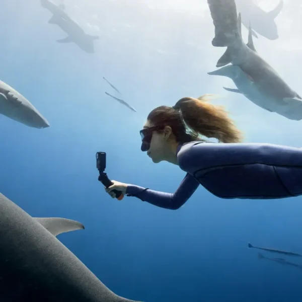 Kit Dji Buceo Osmo Action - Imagen 4