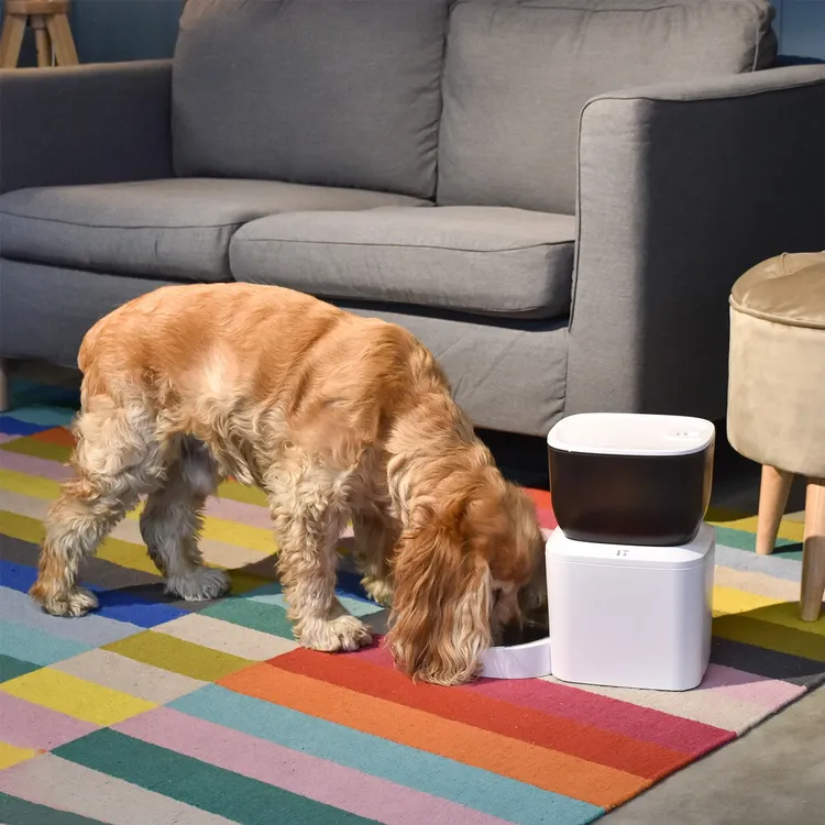 Dispensador de Comida para Mascotas VTA+ WiFi  4L Active Lite - Imagen 8