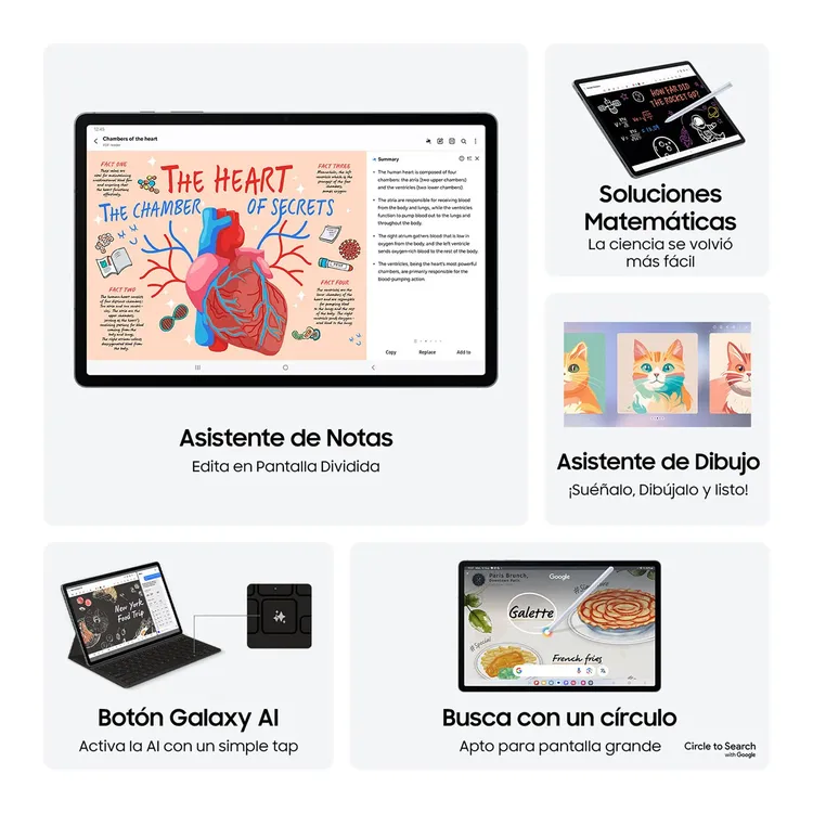 Tablet SAMSUNG 12.4" Pulgadas S10+ 512GB WiFi Gris - Imagen 7