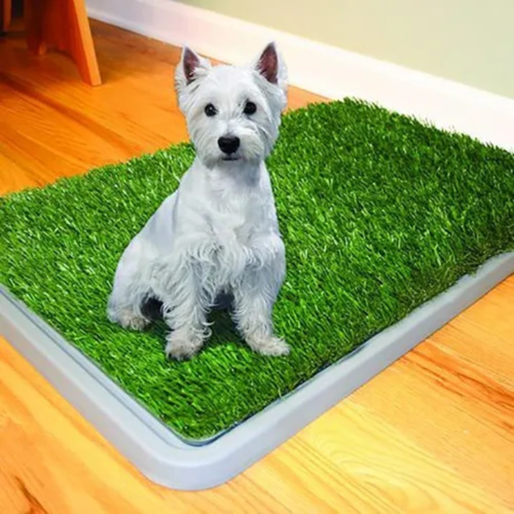 Tapete Grande Entrenador Para Perro Pott