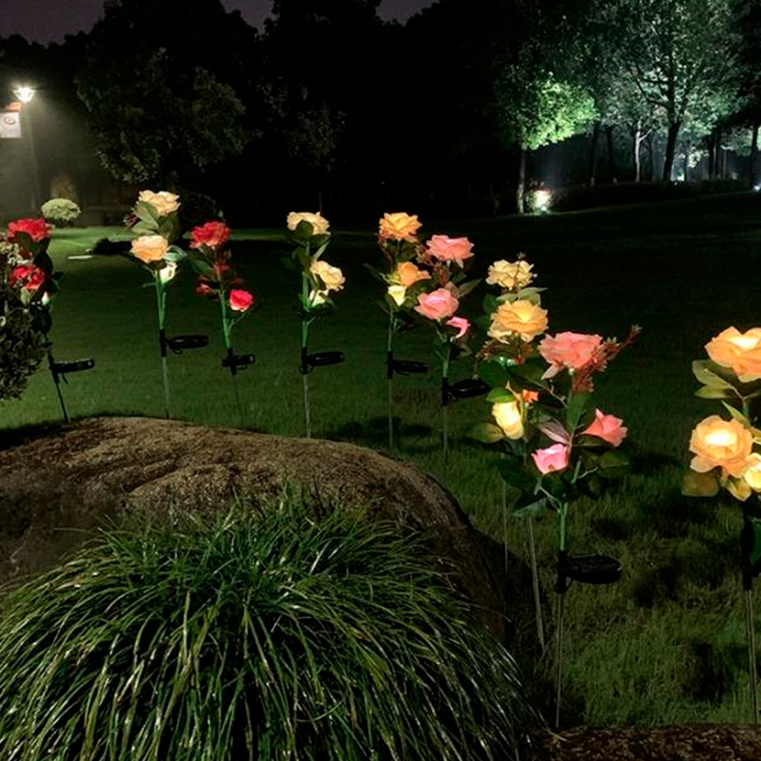 Rosas Led