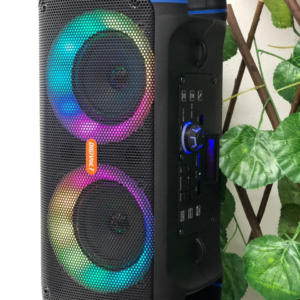 Parlante Bocina Bluetooth Digivolt DG-10