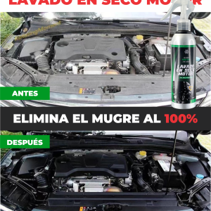 MOTOR LAVADO EN SECO