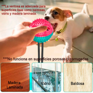 Juguete para Perro con Ventosa Redonda
